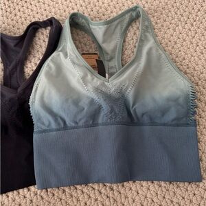 Seamless Blue and Black Sports Bra